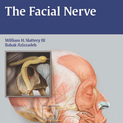 Facial Nerve, The - HP