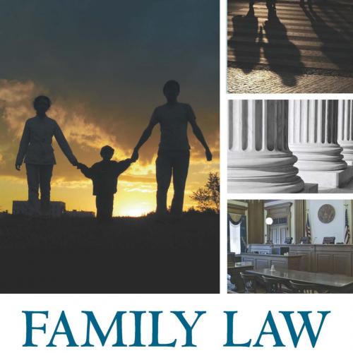 Family Law The Essentials 3rd Edition by William P. Statsky - Wei Zhi