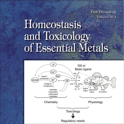 Fish Physiology Homeostasis and Toxicology of Essential Metals, Volume 31A - Chris M. Wood