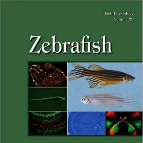 Fish Physiology Zebrafish (Volume 29) - Steve F. Perry, Marc Ekker, Anthony P. Farrell, Colin J. Brauner