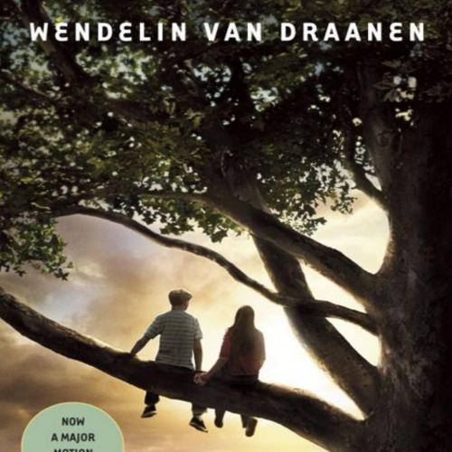 Flipped - Wendelin Van Draanen - Wendelin Van Draanen