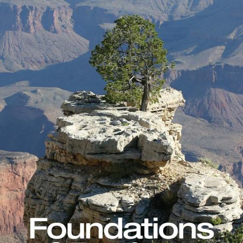 Foundations of Business 4th Edition by William M. Pride