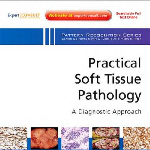 Practical Soft Tissue Pathology A Diagnostic Approach