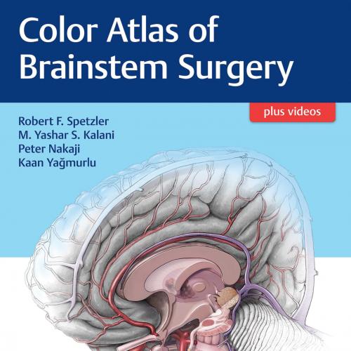 Thieme_ Color Atlas of Brainstem Surgery