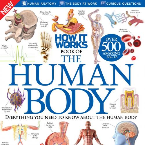 How It Works Book of the Human Body 6th Edition