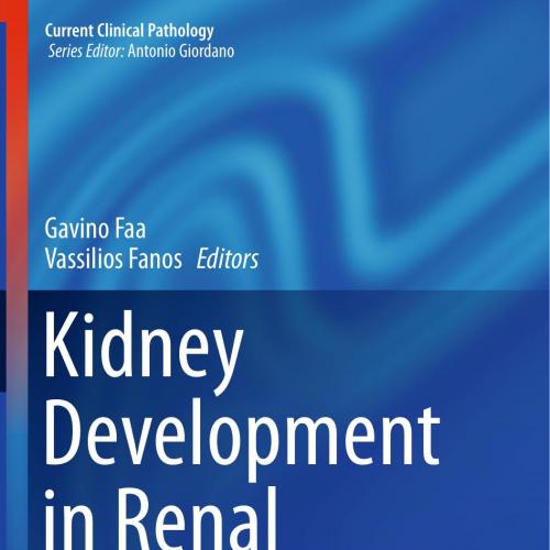 Kidney Development in Renal Pathology - Faa, Gavino; Fanos, Vassilios;