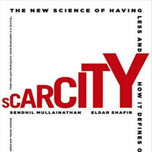 Scarcity Why Having Too Little Means So Much - Sendhil Mullainathan