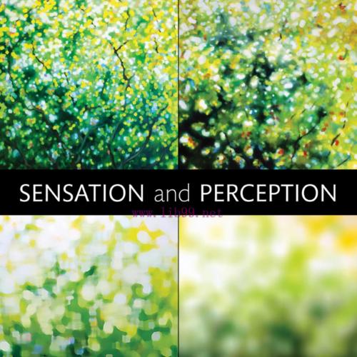 Sensation and Perception by Steven Yantis