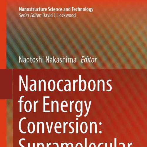 Nanocarbons for Energy Conversion Supramolecular Approaches
