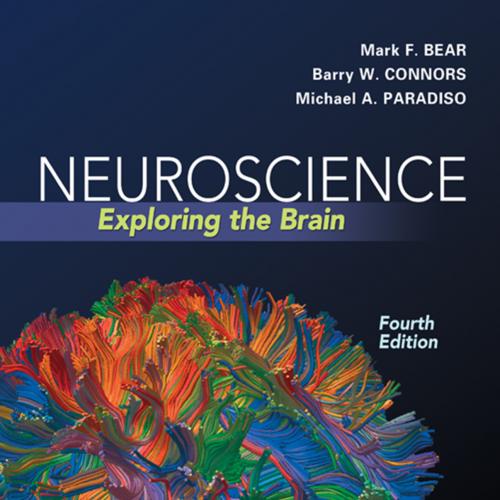 Neuroscience Exploring the Brain Fourth Edition