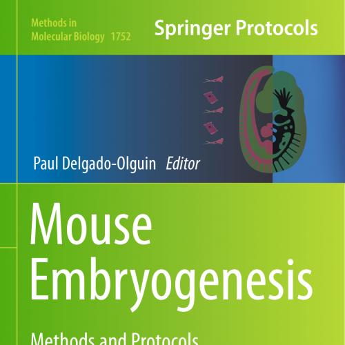 Mouse Embryogenesis