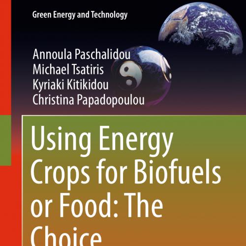 Using Energy Crops for Biofuels or Food The Choice