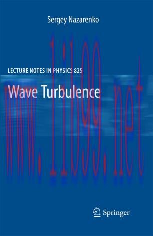 Wave Turbulence
